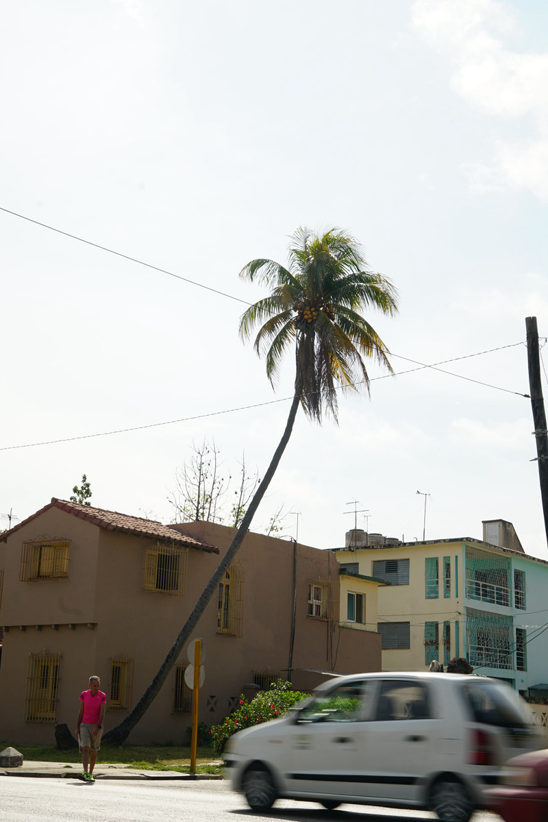 DSC08400_.jpg