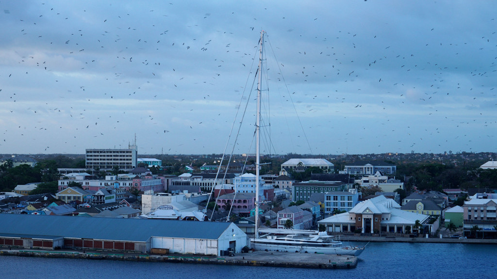 DSC02236_.jpg
