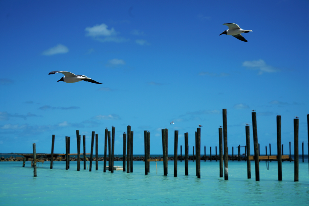 DSC02374_.jpg