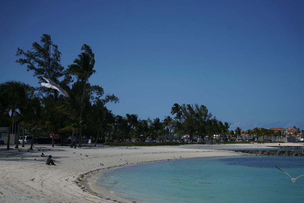 DSC02423_.jpg