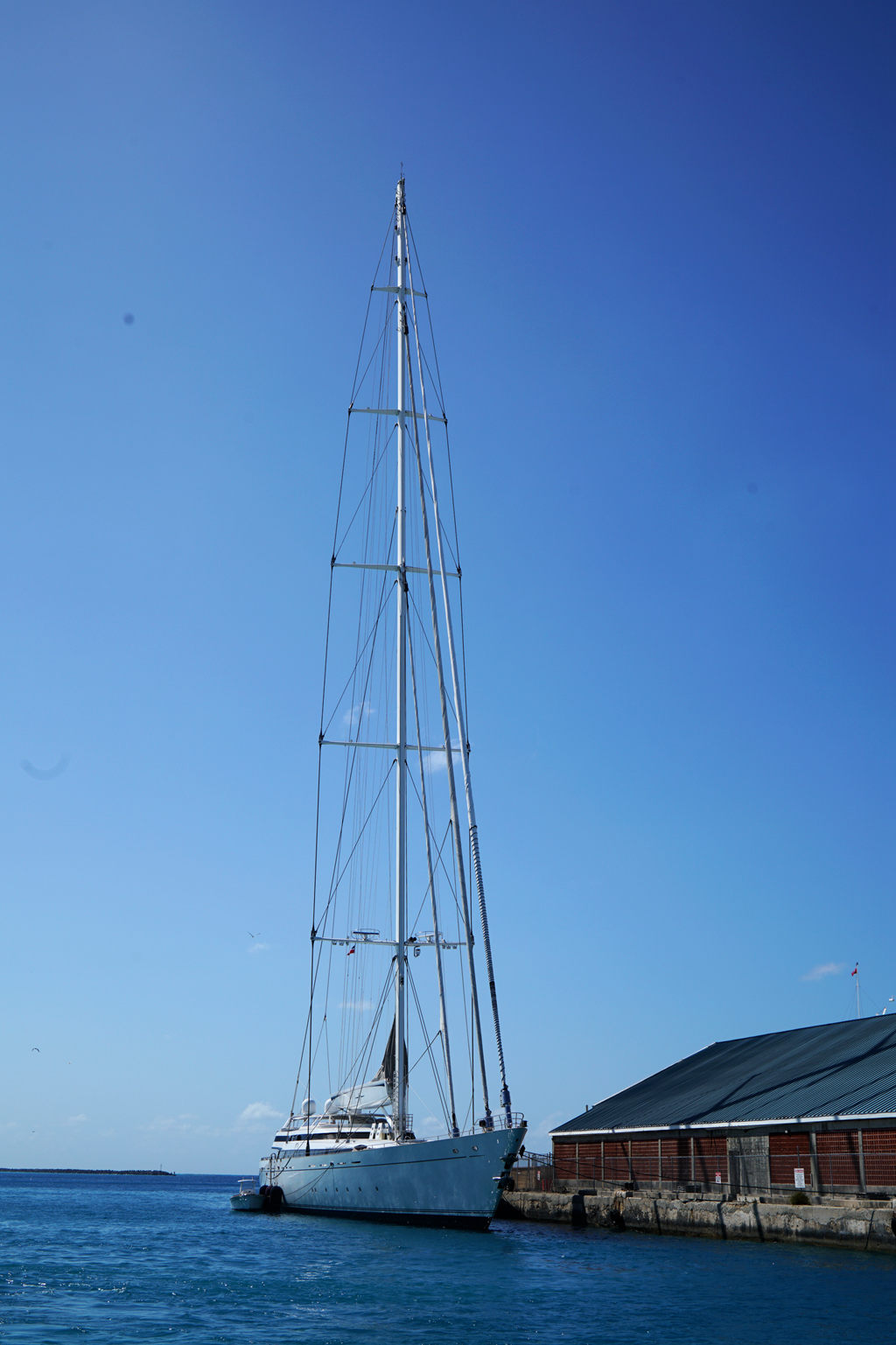 DSC02506_.jpg