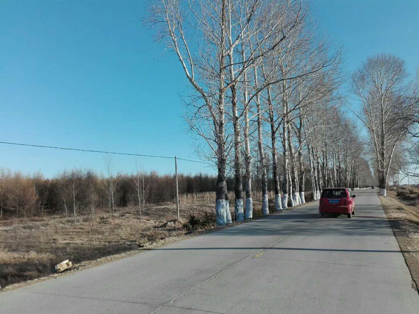 373411784324107669.jpg