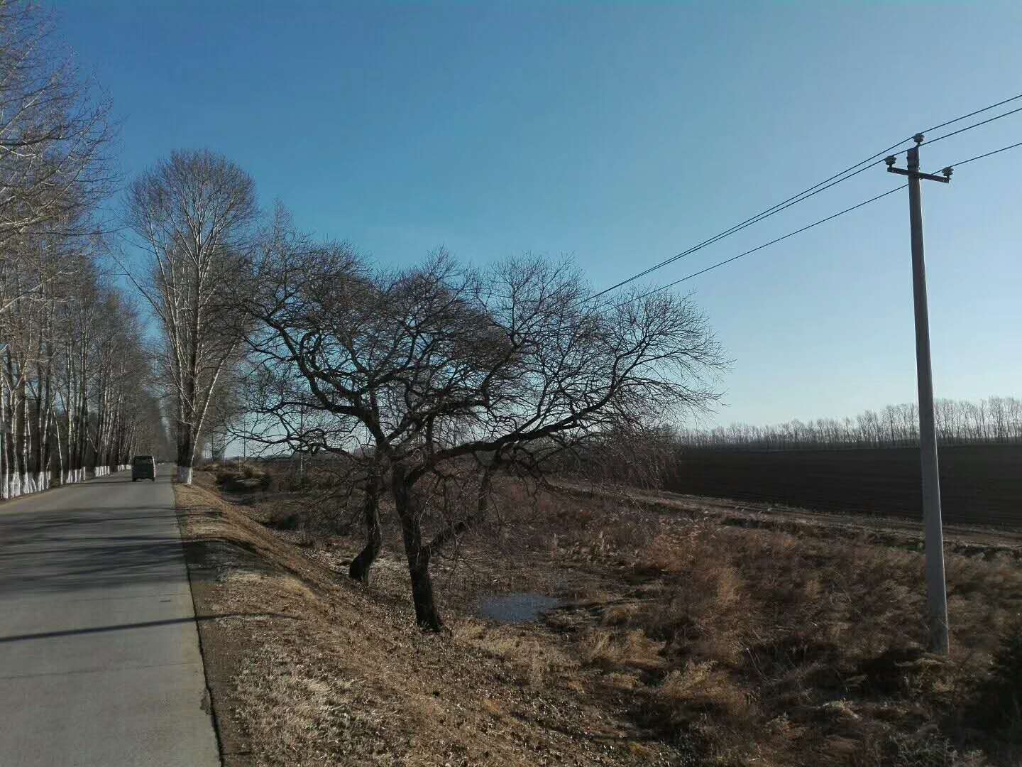 908658016674032049.jpg