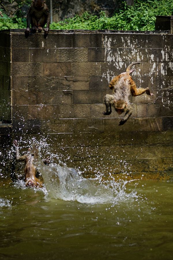 DSC04971__.jpg