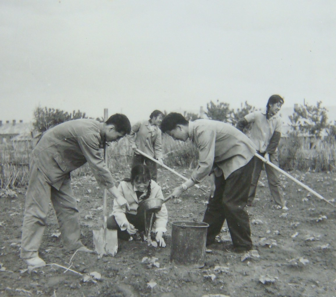Ҷұ-1971깩Աֲ.jpg