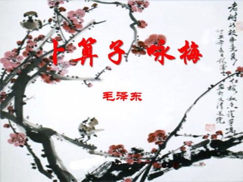 t01d9511db17f0ecb90.jpg