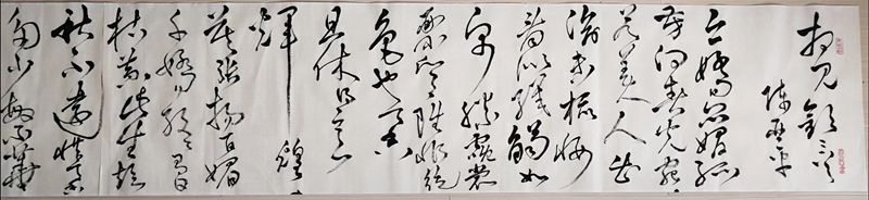 鷨1_.jpg