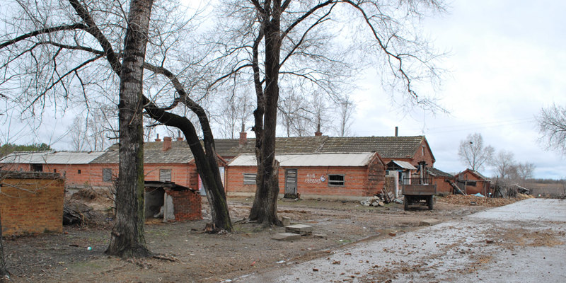 Ű516.jpg