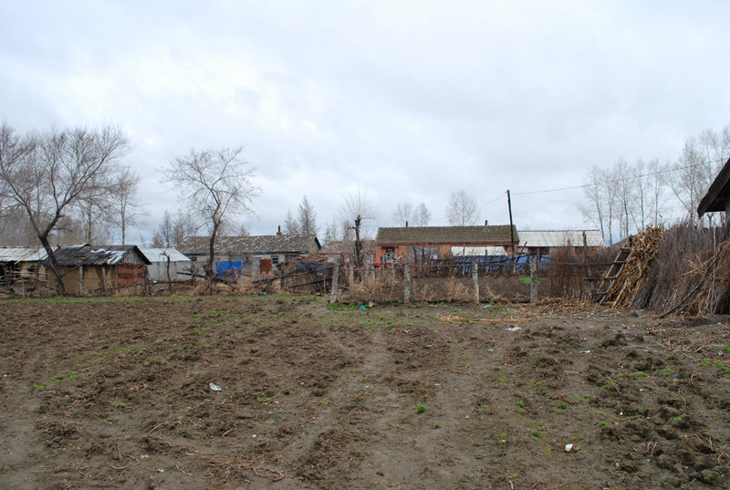 ԭW519.jpg