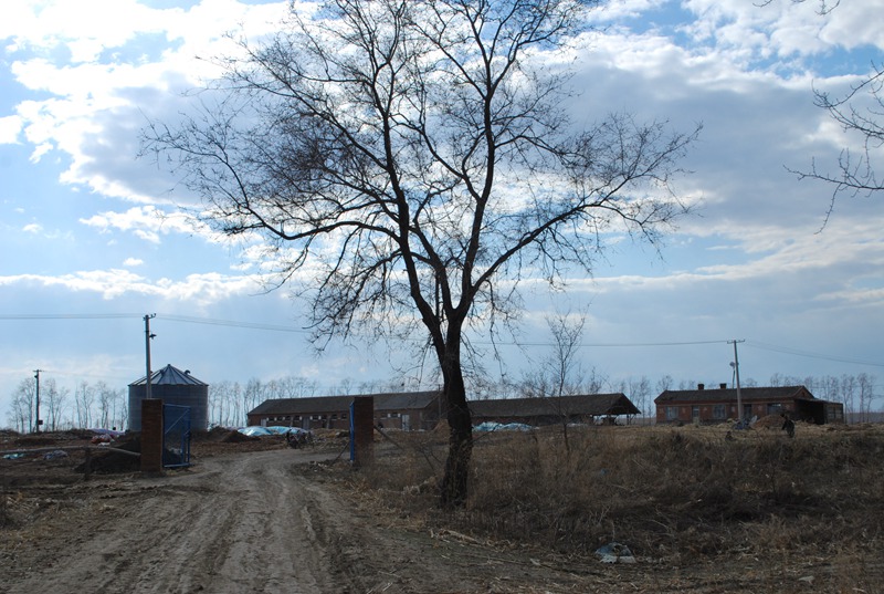 Ժ325.jpg