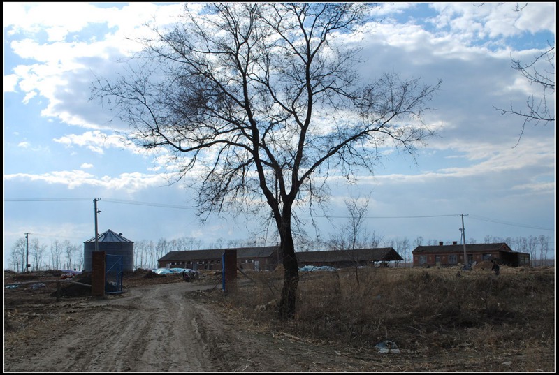 Ժ325.jpg