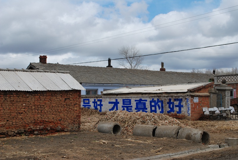 553.jpg
