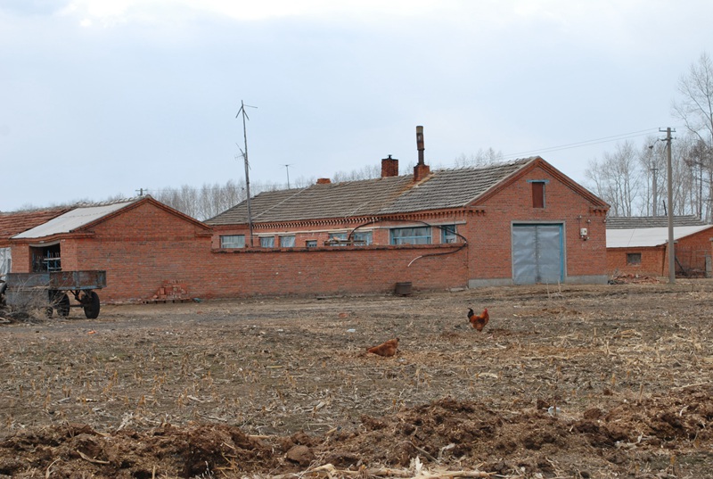 ʮһŮ 100.jpg