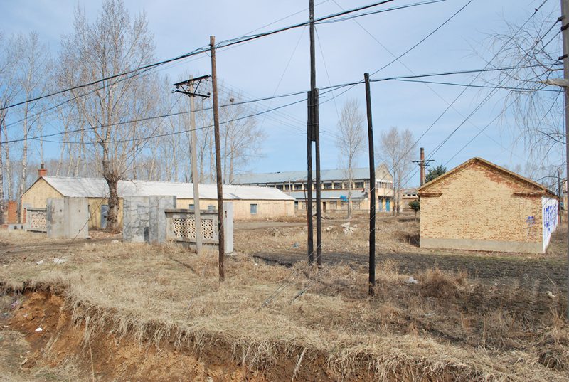 Ų䳧.jpg