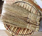 IMG_20250406_165221.jpg